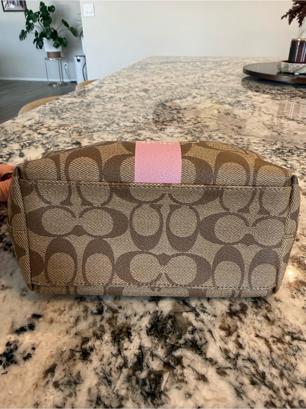 Coach Brown Signature Canvas Mini Bag with Pink Stripe - Picture 5 of 8